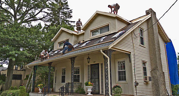 Best Storm Damage Roof Repair  in Hardeeville, SC
